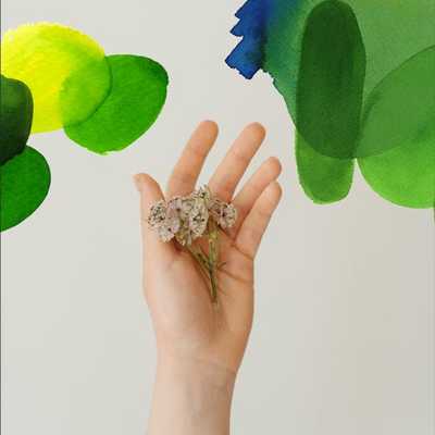 opcja natura maufaktura