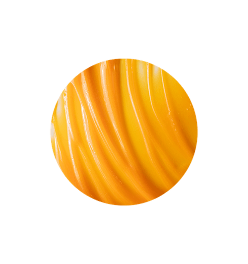 Sea buckthorn mousse 1