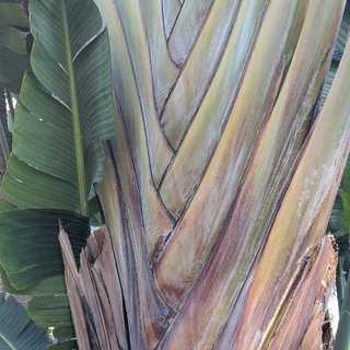 opcja natura instagram feed foto 3